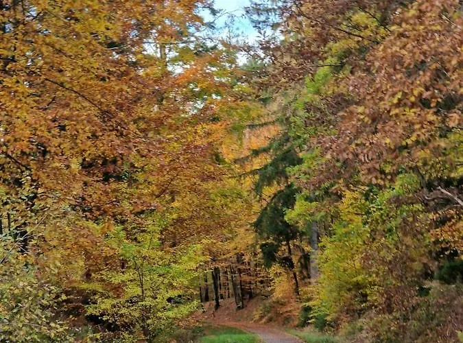 Lille Bo * Silkeborg